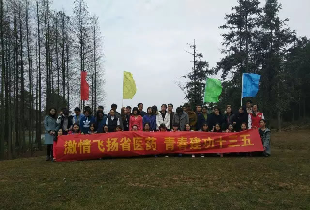 拓展训练 动力无限——记江苏省医药2017拓展培训