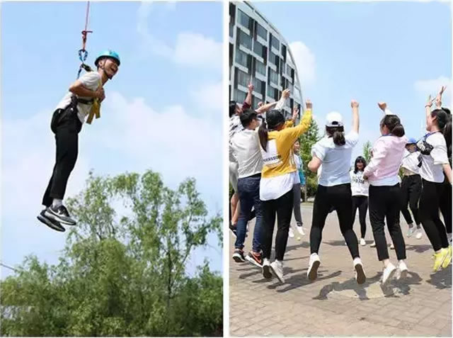 쵼ѵ