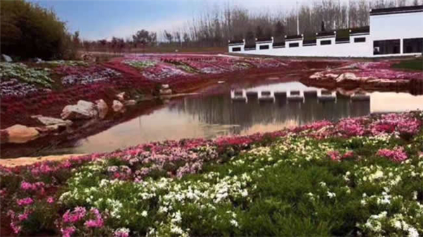 կȼٴ