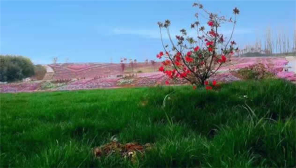 կȼٴ