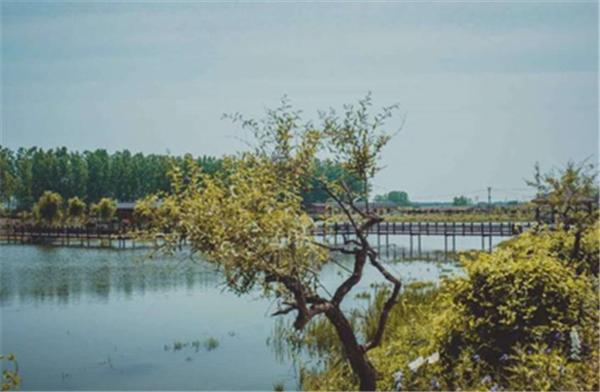 կȼٴ