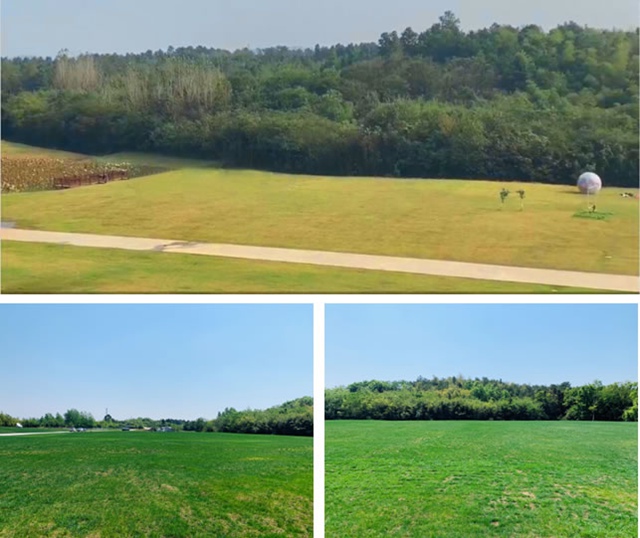 ���չ��ʯ��Ӱ�ӻ���