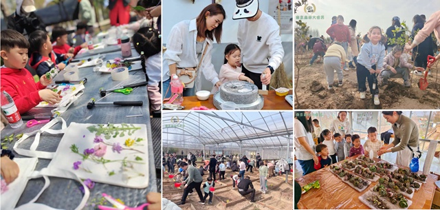 �Ͼ�ɭ�ִ�����