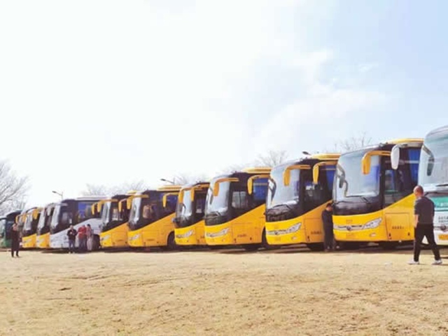 �Ͼ�ɭ�ִ�����