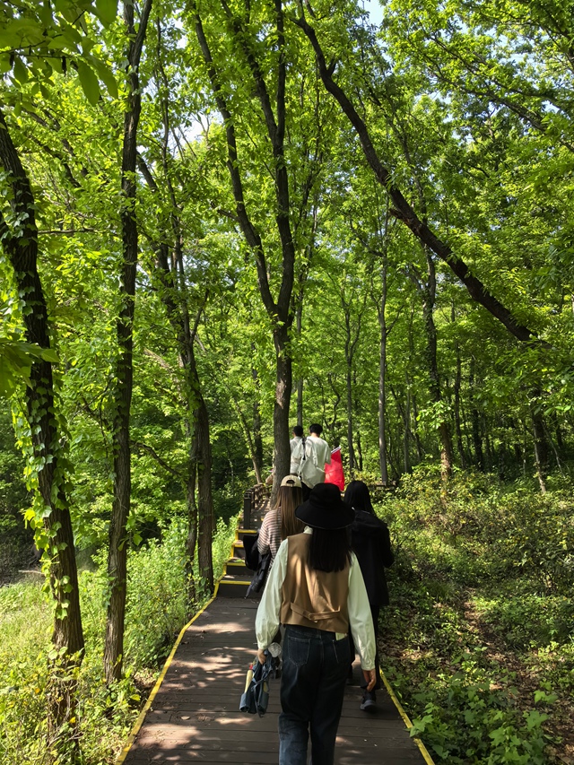 ��ɫ����